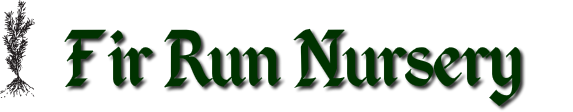 Fir Run Nursery